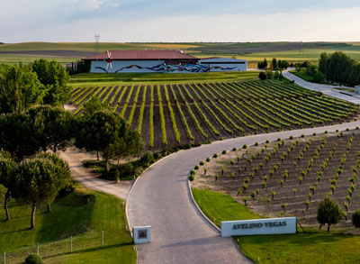 Bodega Avelino Vegas en Santiuste