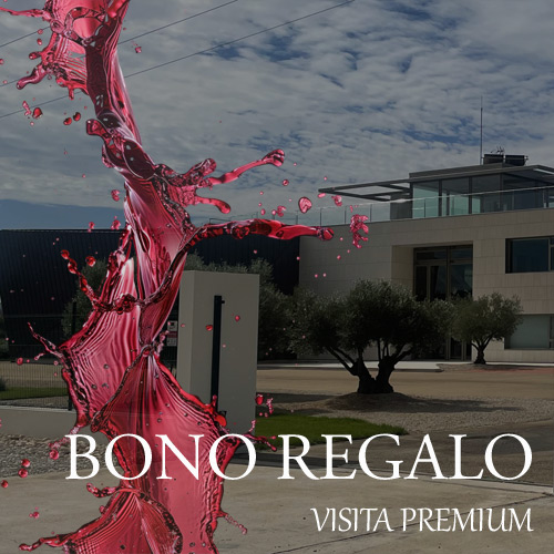 Enoturismo, bono regalo visita premium