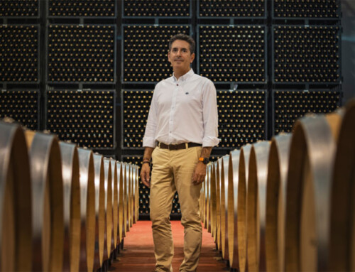 VINOLOGY – Cata y Cena Maridaje – 15 de Septiembre de 2026